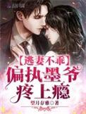 墨少轻宠小逃妻免费阅读全文