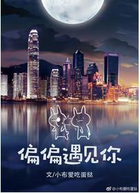 偏偏遇见你免费阅读全文