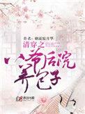 清穿之八爷后院养包子作者烟花绽月华
