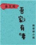 娘子在下有眼无珠晋江