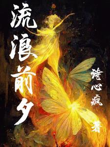 流浪新装备