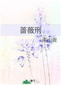 蔷薇刑全文免费阅读晋江