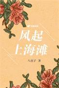风起上海滩全文免费阅读