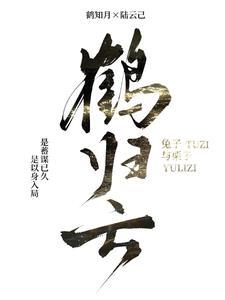 鹤归云中不归我
