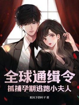 全球通缉少夫人妃子一笑