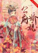 公府娇媳讲的什么内容