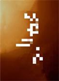笼中月txt