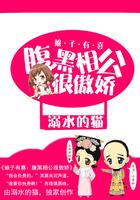 腹黑相公宠不停全文免费阅读!