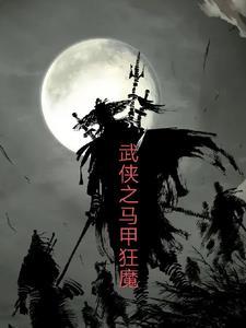 综武侠马甲