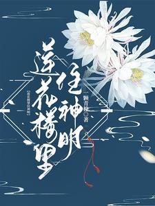 莲花楼商铺