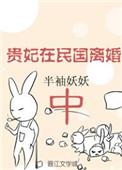 贵妃在民国离婚中txt