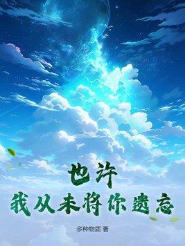 也许你从来没有爱过我是啥歌