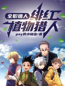全职猎人系