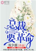 总裁二婚
