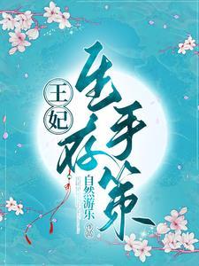王妃v5