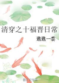 清穿之十福晋的