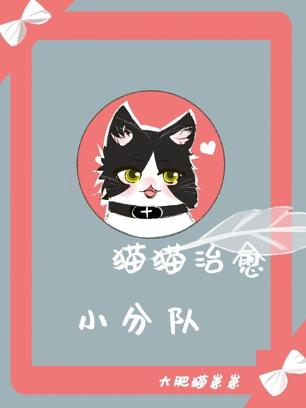 治愈猫视频