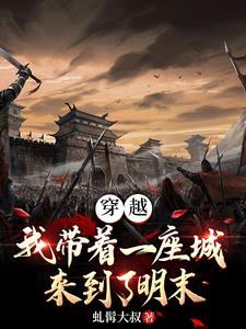 带着城市去大明