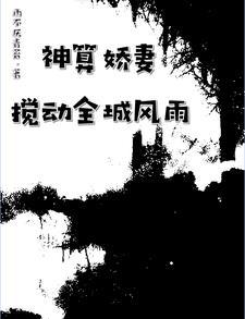 神算简介