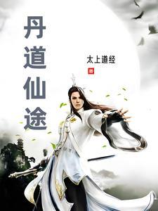 丹道仙途太上TXT