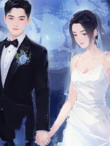 总裁的独家的宝贝免费阅读全文