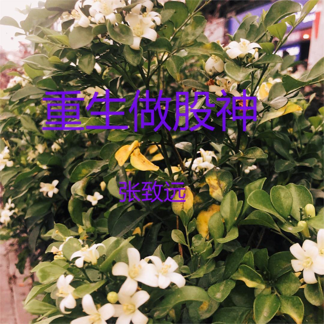 重生做股神李健笔趣阁