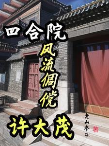 四合院极品许大茂
