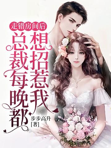进错总裁房间