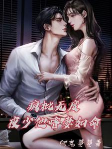 疯批无度夜少他嗜妻如命免费阅读全文