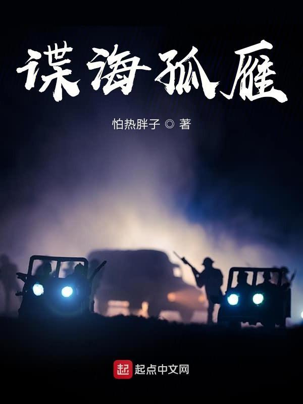 谍海孤鹰txt