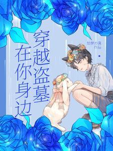 穿越盗墓世界的完本
