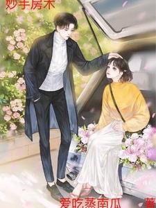 妙手房术中字免费观看