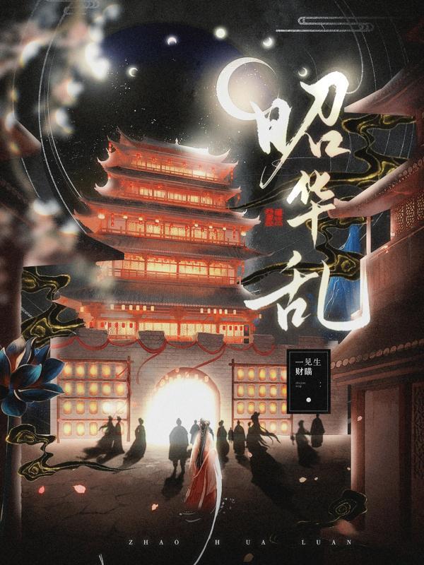 电视剧昭华乱