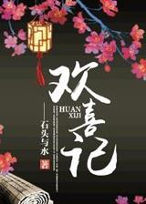 欢喜记事全本TXT