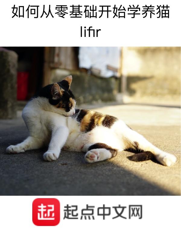 如何零基础学英语