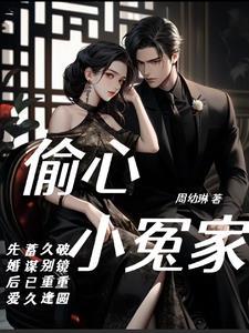 偷心俏冤家二