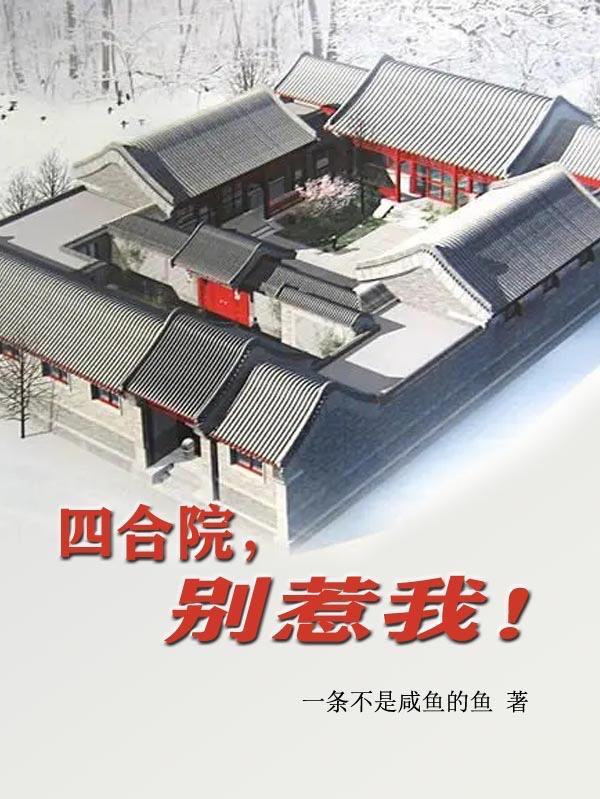 四合院别惹我我坑王之王