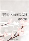 宰辅夫人的荣宠之路全文阅读免费