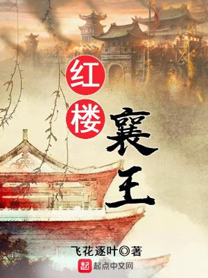 红楼襄王全本TXT