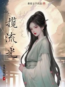 揽流光免费阅读全文无弹窗