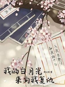 我的白月光