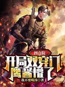 四合院开局娶了冉秋叶