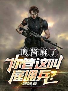 鹰酱麻了你管这叫雇佣兵?作者剑刺