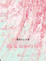 遇见向往的你
