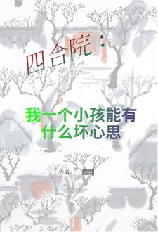 一个四合院的动画片