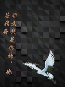 我是你妹妹呀笔趣阁