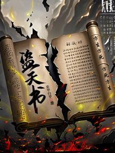 道天书盗天书