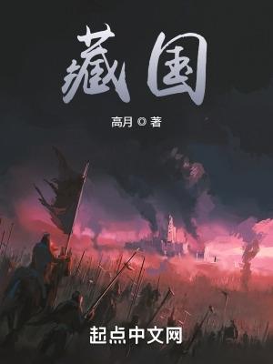 藏国良