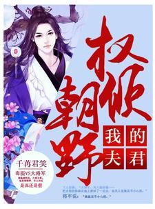 我的夫君权倾朝野百度