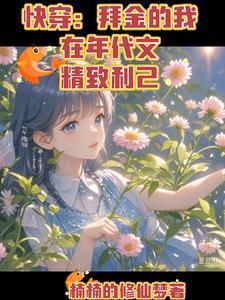 快穿拜金的我在年代文精致利己笔趣